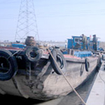 20128423529